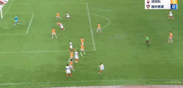 1685280851022016070.gif 杨超声.gif